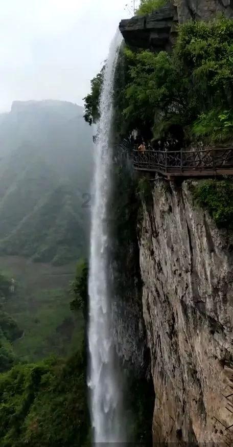 率土之滨